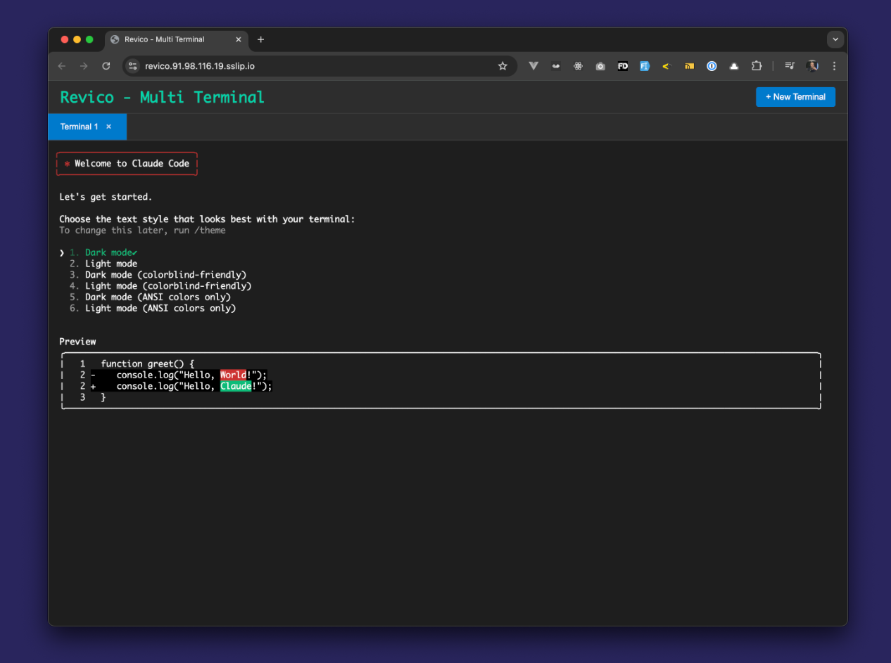 Terminal in a browser App, passowrd protected
